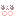 ＊