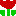chuリップ