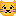 にゃん？わん？