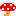きのこ