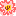 さくら