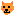 いぬ
