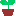 芽