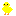 ヒヨコ
