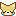 チワワ