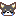 チワワ