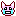 動物