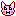 動物