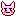 動物