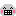 動物