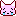 動物