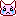 動物