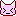 動物