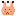 うさこ-･･･