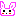 ウサギ