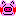 豚