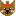 ヨーキー　しょこたん