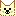 チワワせなんちゅ