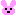 モコモコうさぎ