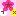 ネイル柄