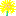 タンポポ