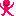 ヒト
