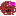 わんこ