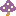 紫きのこ