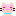 ねこ