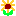 ひまわり
