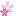桜2