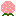 ピンクのまるいの