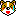 イヌ