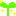 芽