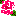 rose-r