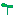 バジル