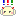 マルチーズ