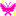 蝶