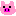 豚