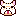 犬