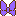daisyribbon