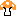 キノコ