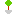 トピアリー