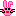 うさぎ