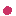 つぼみ？