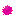 つぼみ？