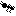 ant