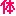 体