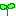 はっぱ