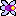 センダンの花